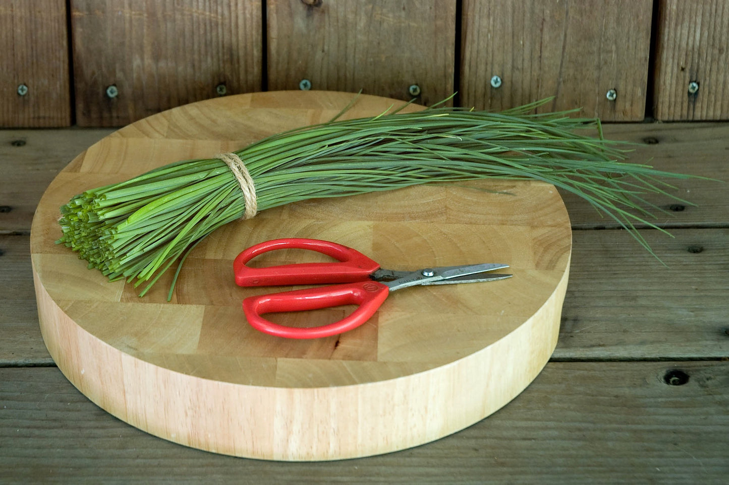 Culinary Chives