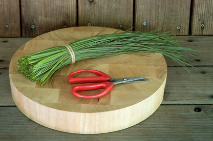 Culinary Chives