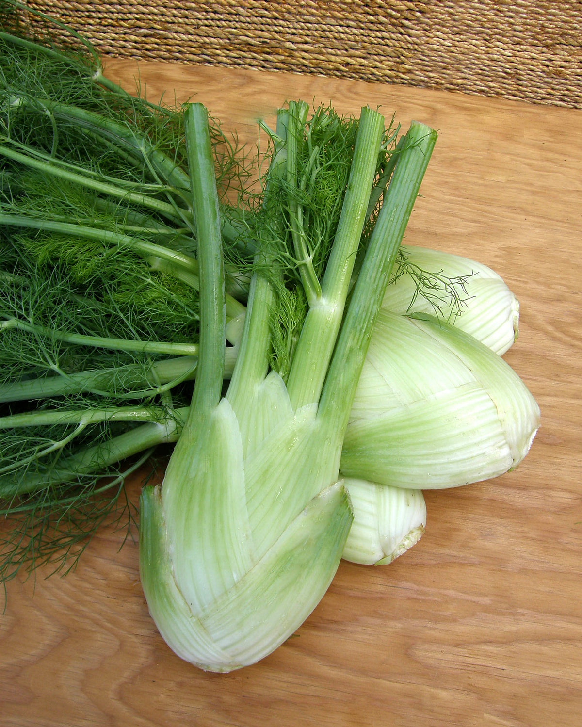 Heirloom Bulbing Fennel - Romanesco Organic