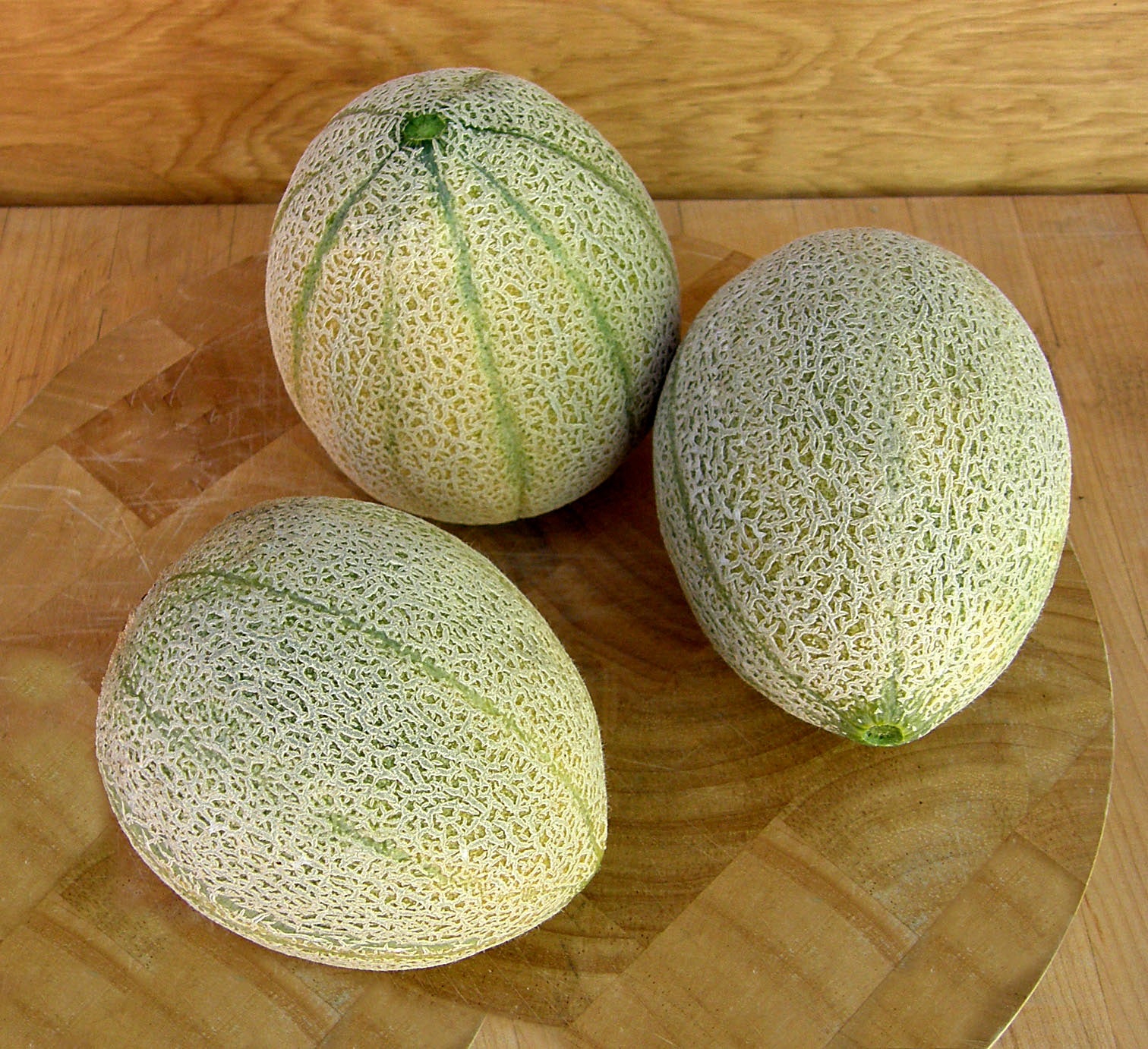 Melone Retato Degli Ortolani' Heirloom Tuscan Melon – Renee's Garden