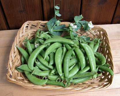 Snap Peas - Sugar Daddy Organic