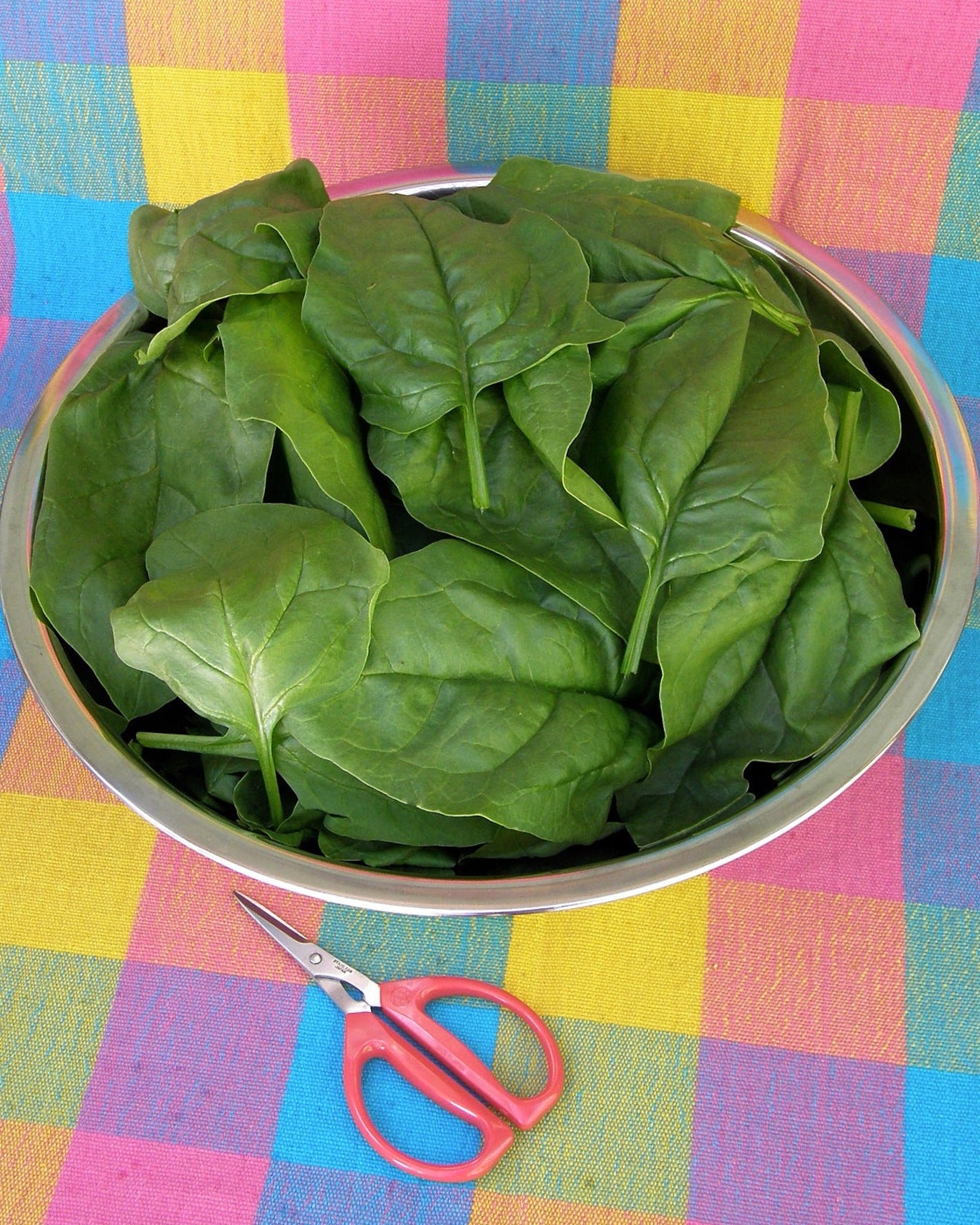 Longstanding Spinach - Gangbusters
