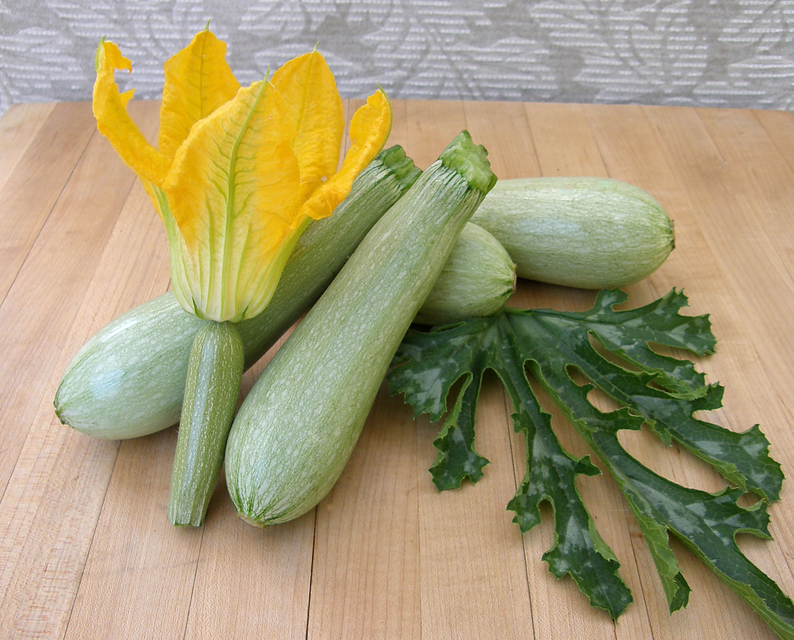 Ortolana di Faenza' Heirloom Italian Zucchini – Renee's Garden