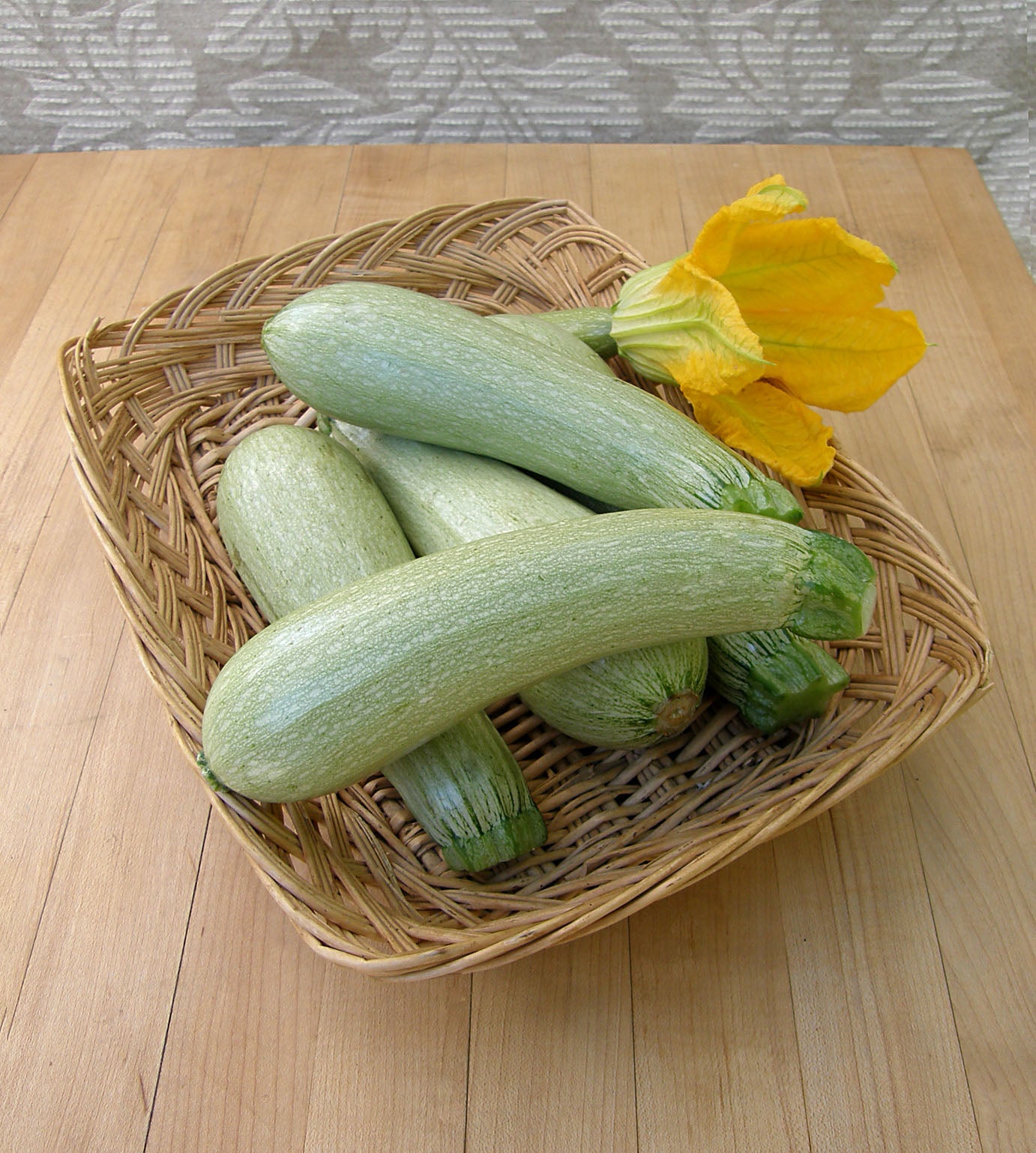 Ortolana di Faenza' Heirloom Italian Zucchini – Renee's Garden