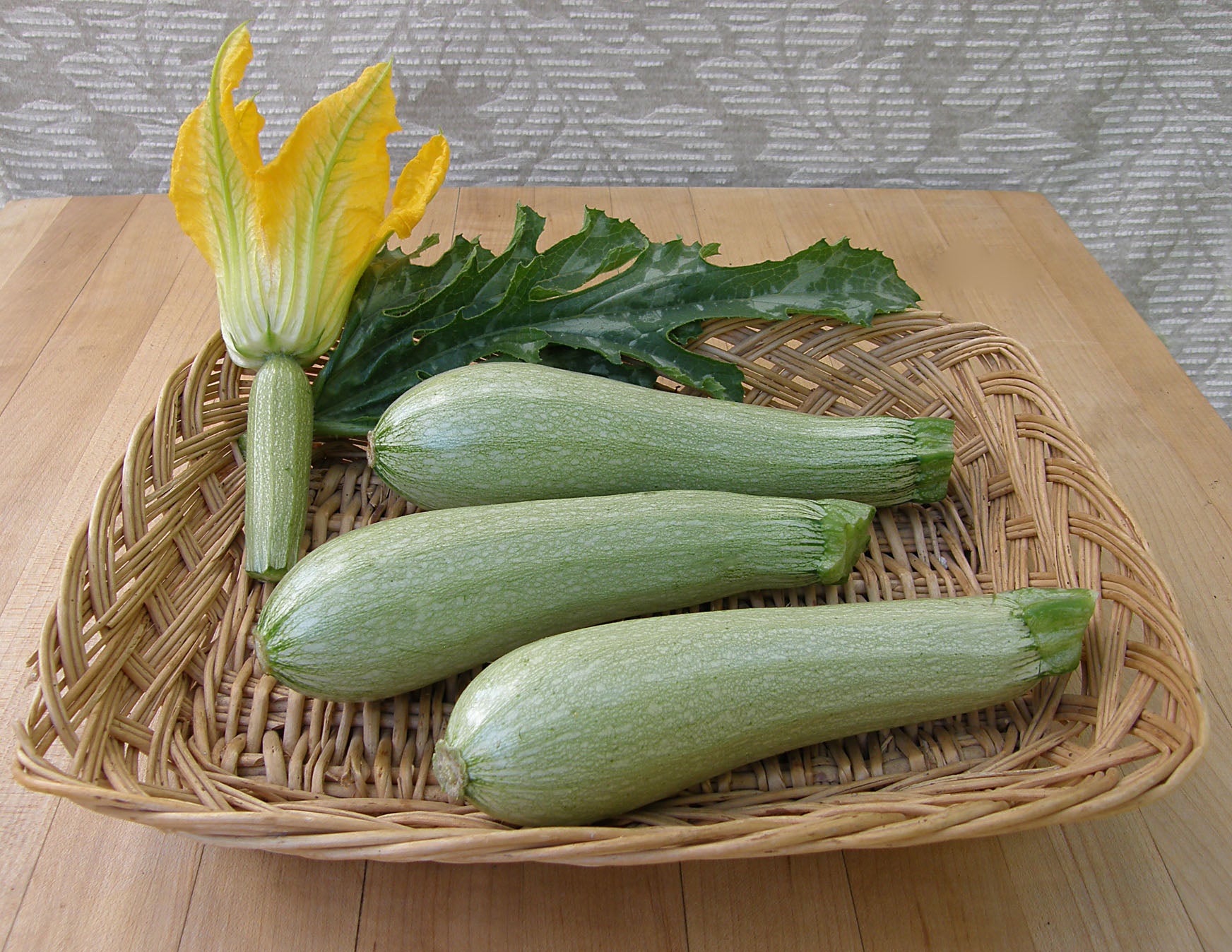 Ortolana di Faenza' Heirloom Italian Zucchini – Renee's Garden