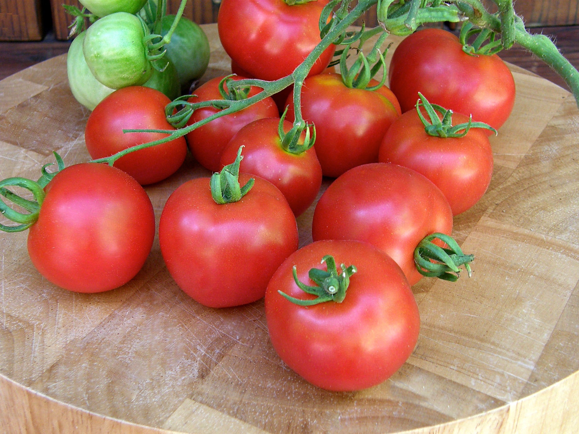 Heirloom Stupice' Early/Container Tomato – Renee's Garden