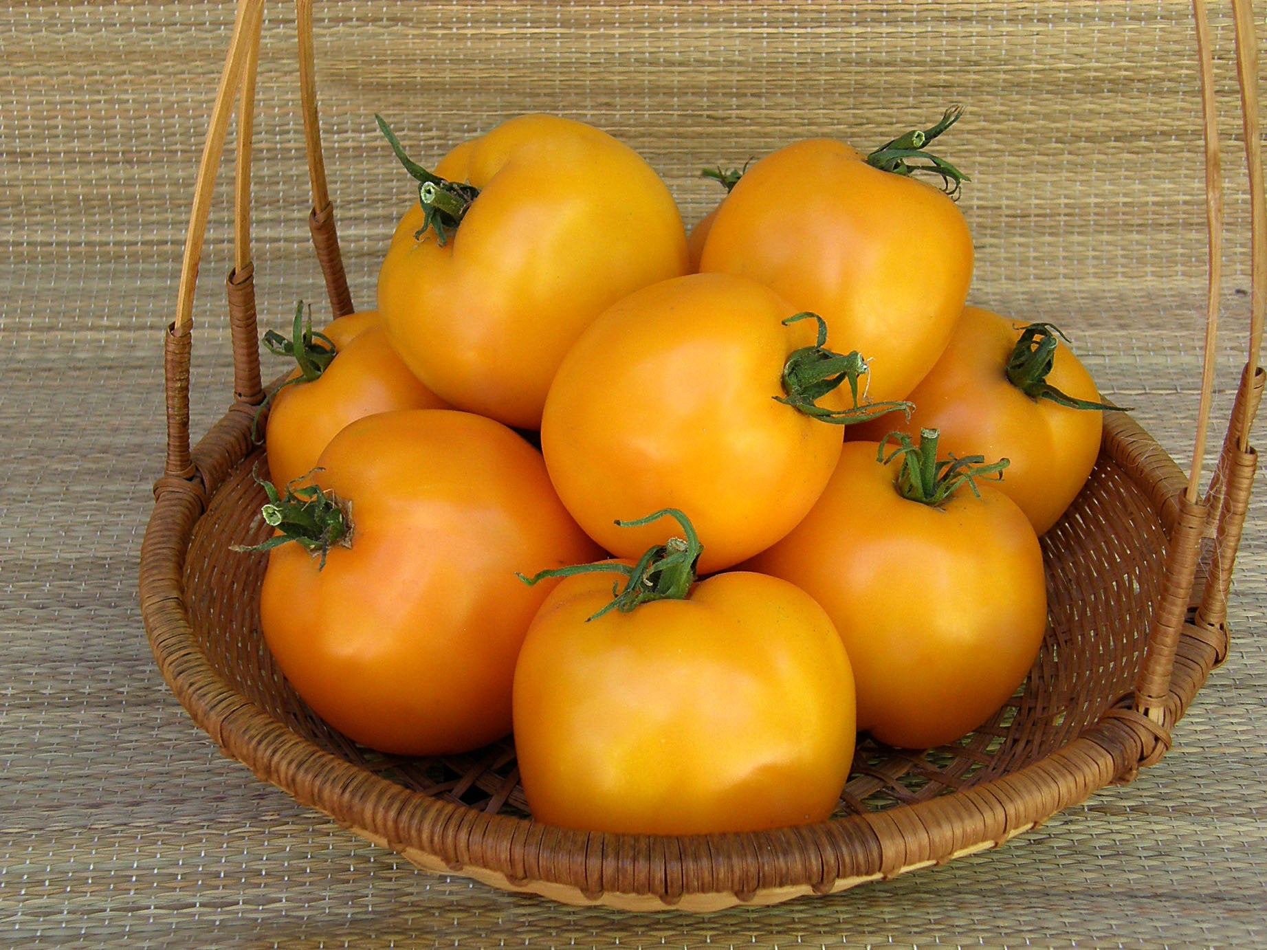 Tangerine' Heirloom Tomato – Renee's Garden