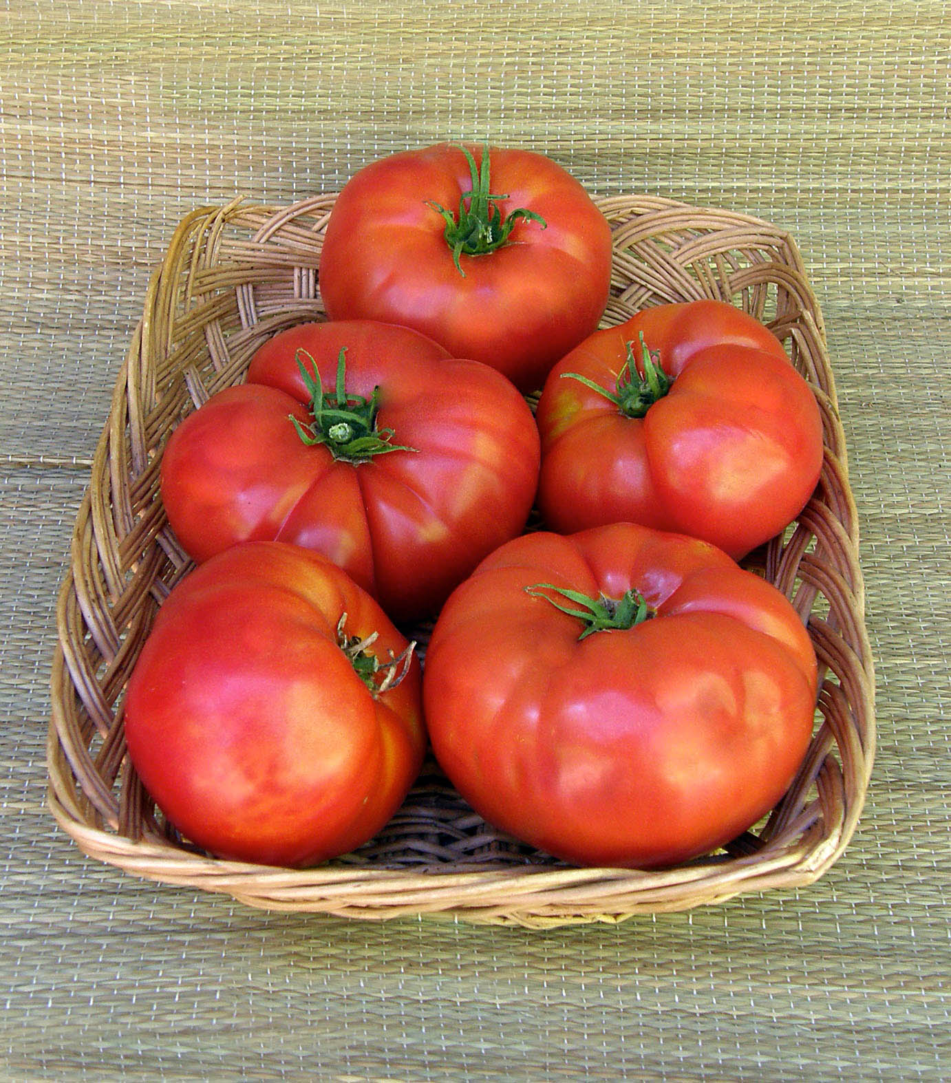 organic brandywine tomato plant 4.5 inch pot Renee's Garden Heirloom Tomato Brandywine Seeds