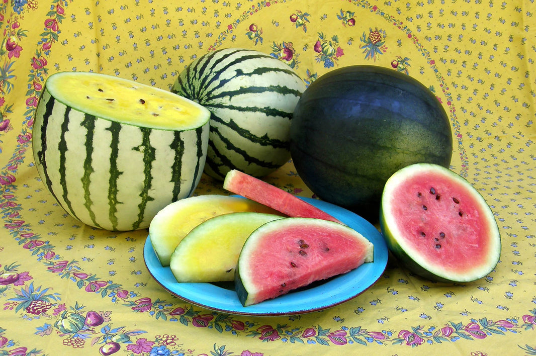 Watermelon – Renee's Garden
