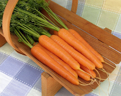 Top Flavor Carrots - Napoli Organic