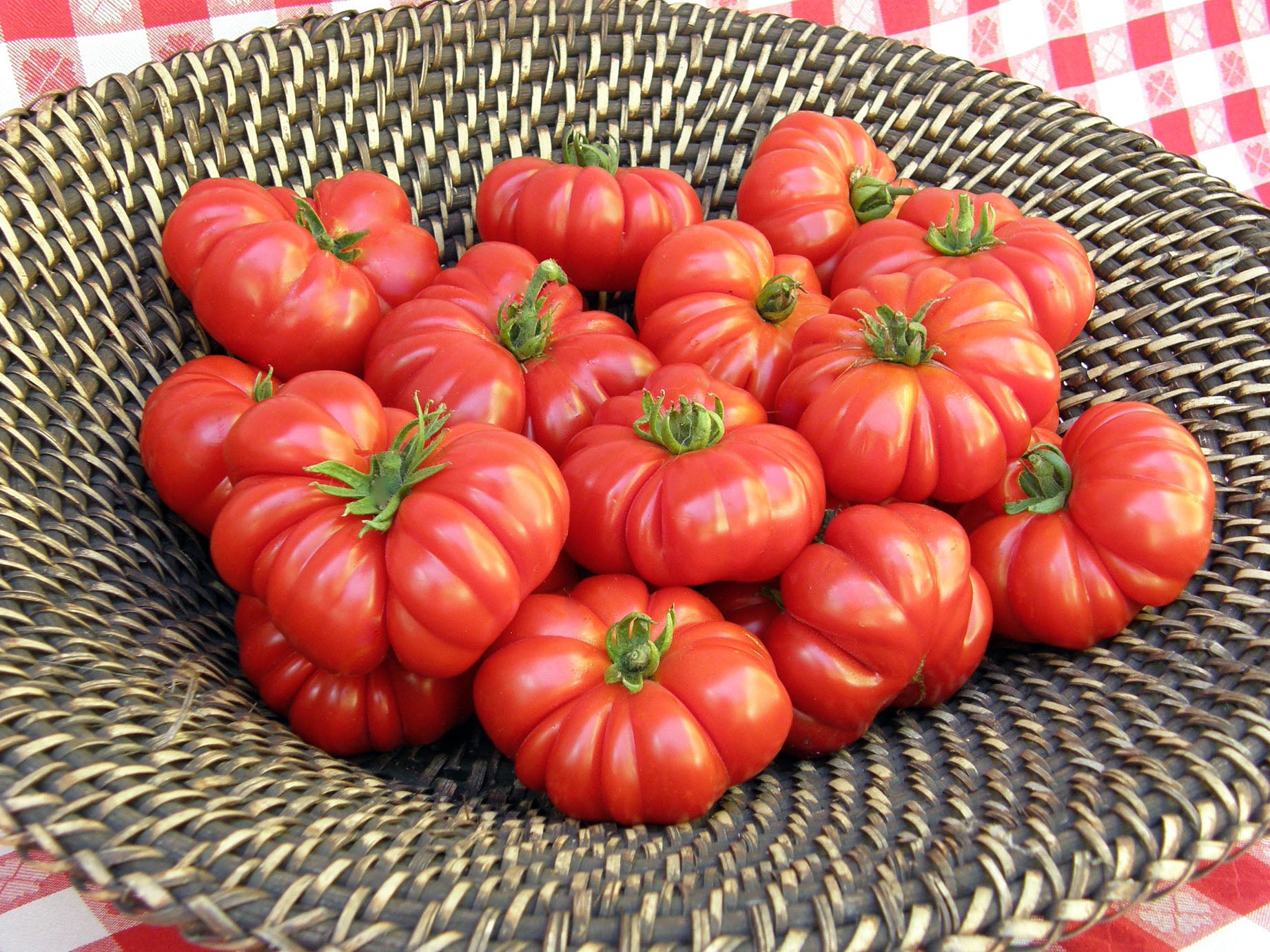 Renee's Garden Costoluto Genovese Tomato - Thumbnail 4