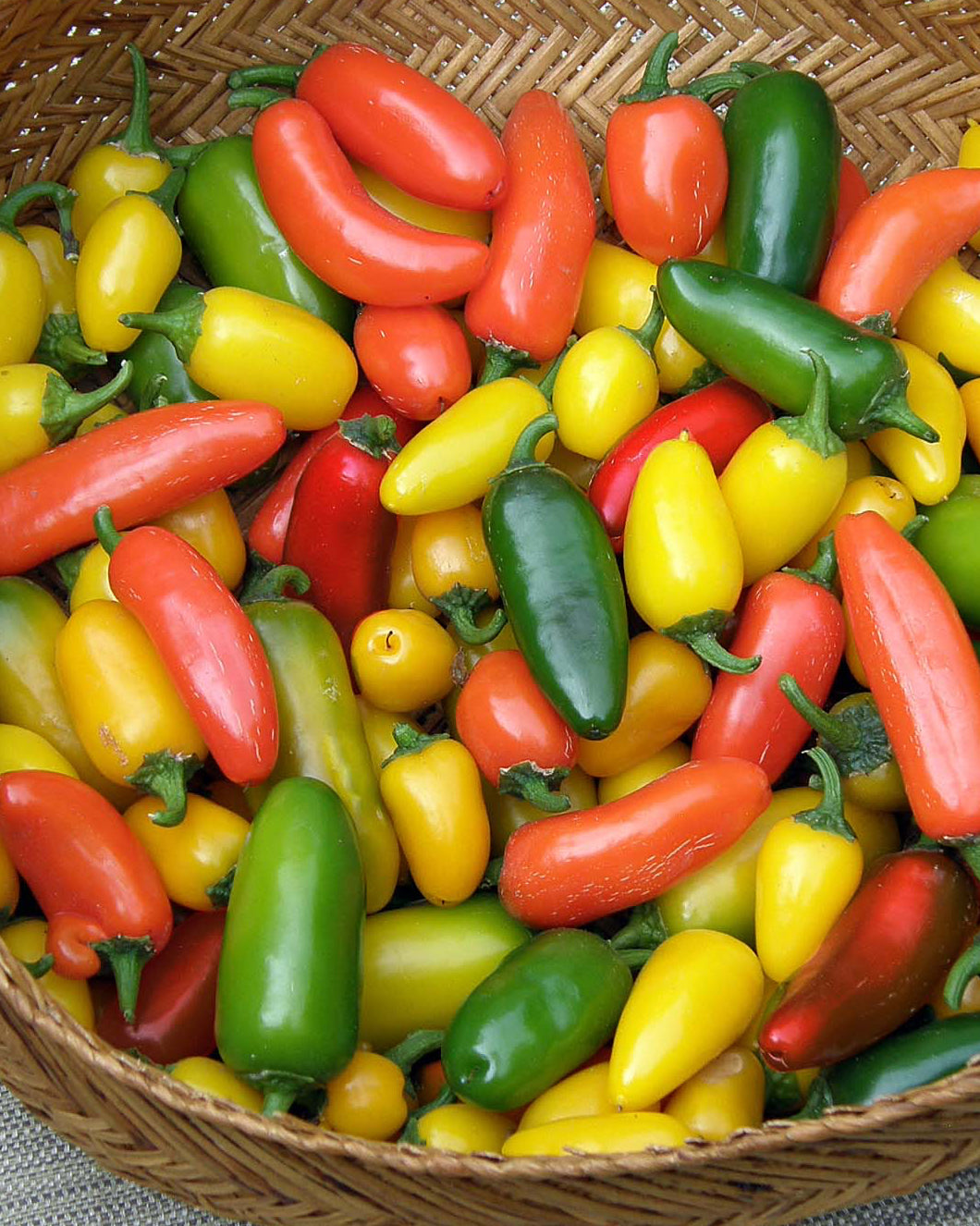 Spice Trio' Rainbow Jalapeño Chiles – Renee's Garden