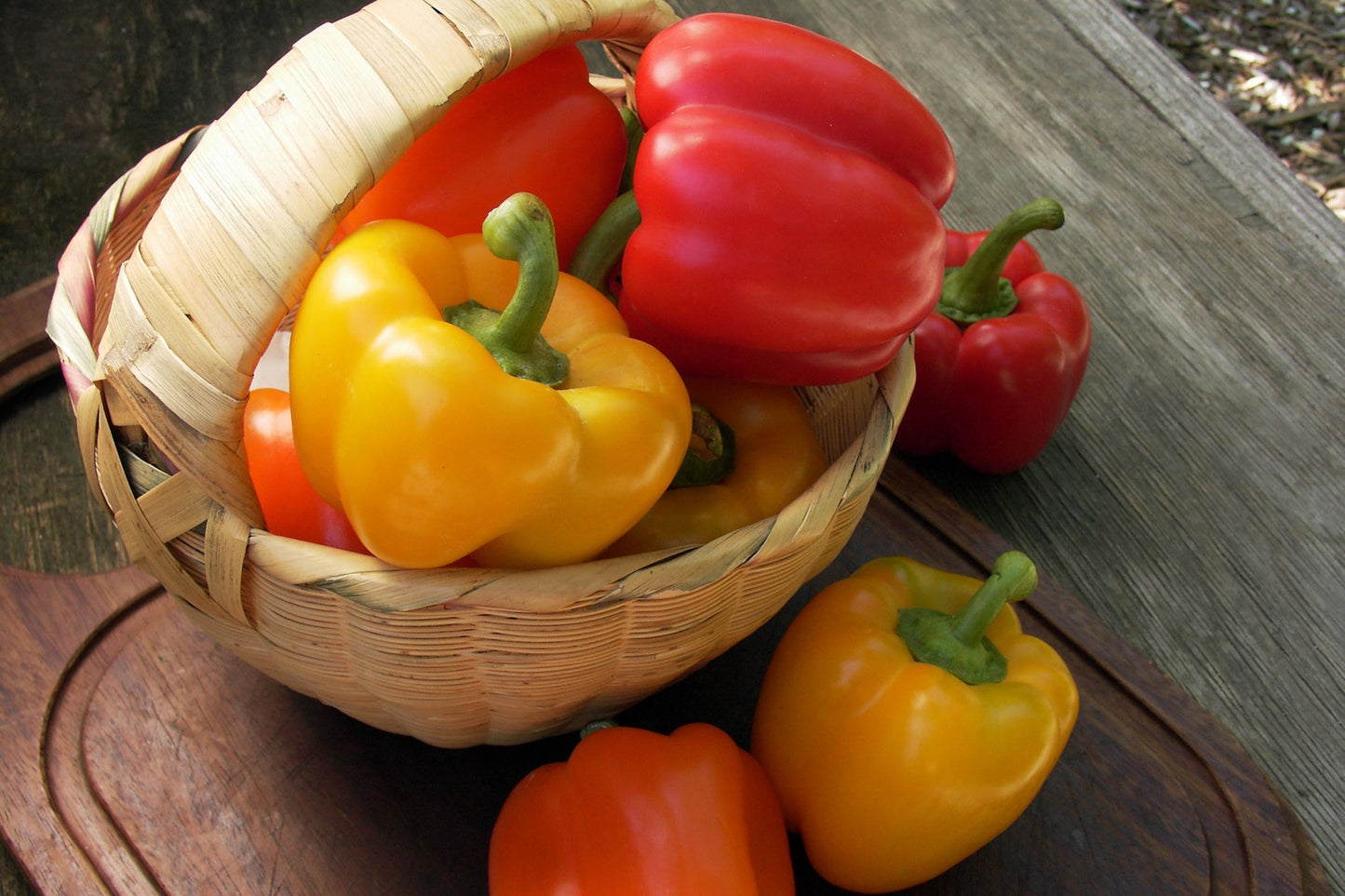 Crimson, Gold & Orange