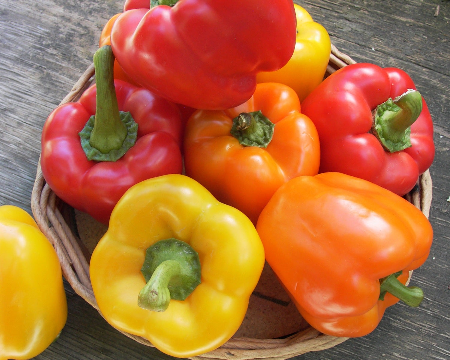 Renee's Garden Bell Pepper Seed Mix