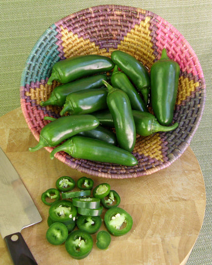 Early Flame Jalapeños