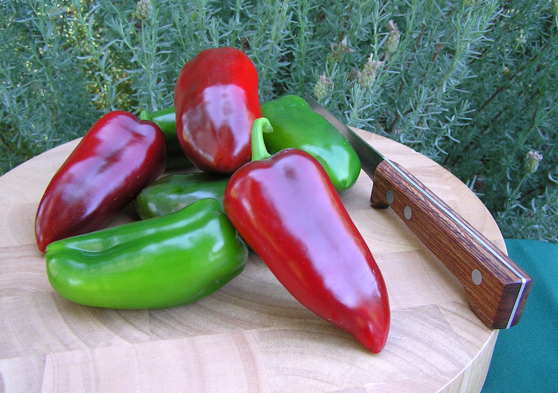 Renee's Garden Pepper Sweet Pizza My Heart - Thumbnail 3