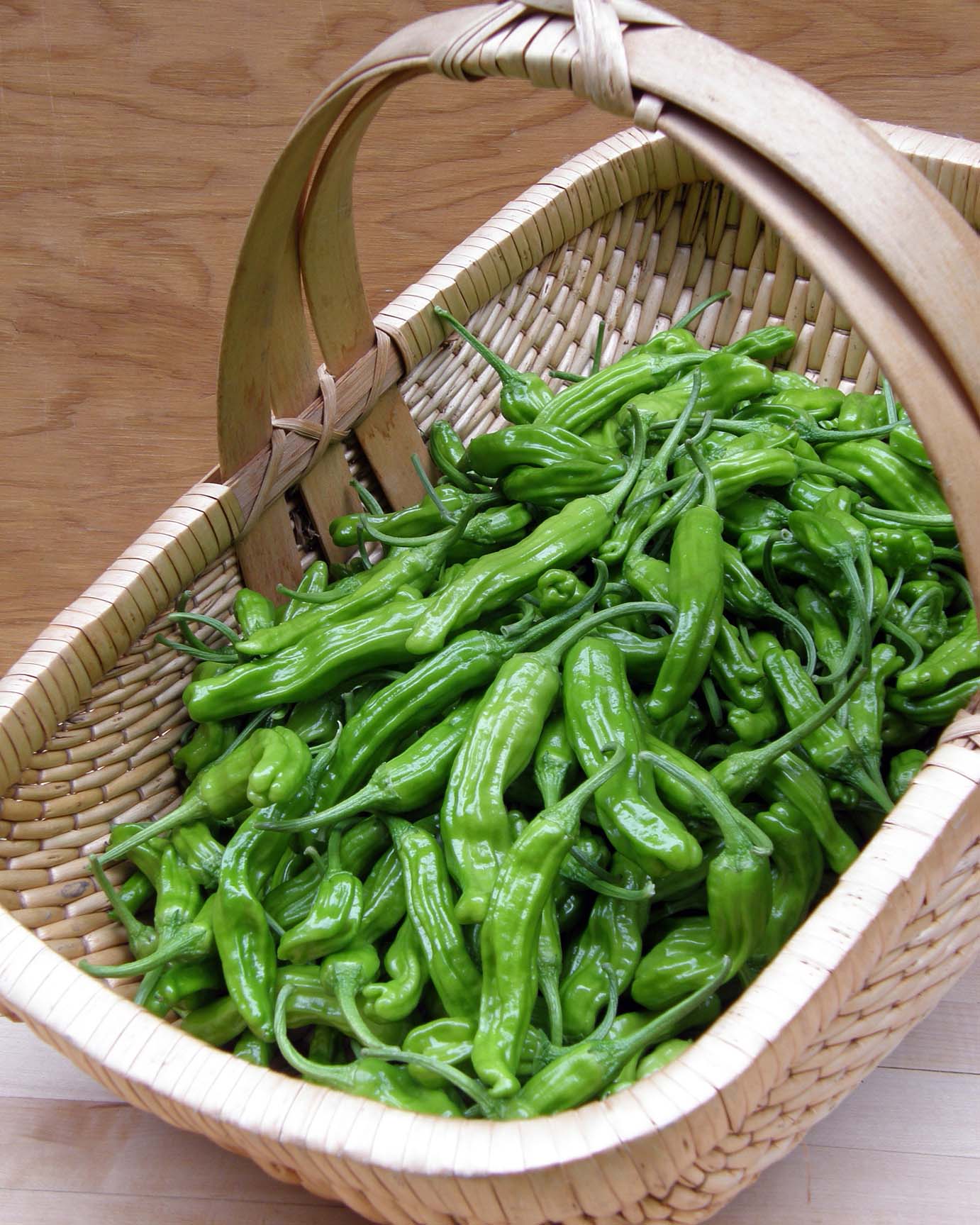 Japanese Pepper - Shishito