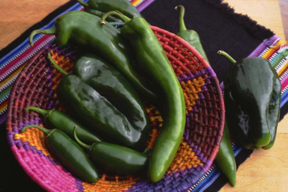 Southwestern Chile Trio' Chile Peppers – Renee's Garden