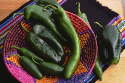 Southwestern Chile Trio