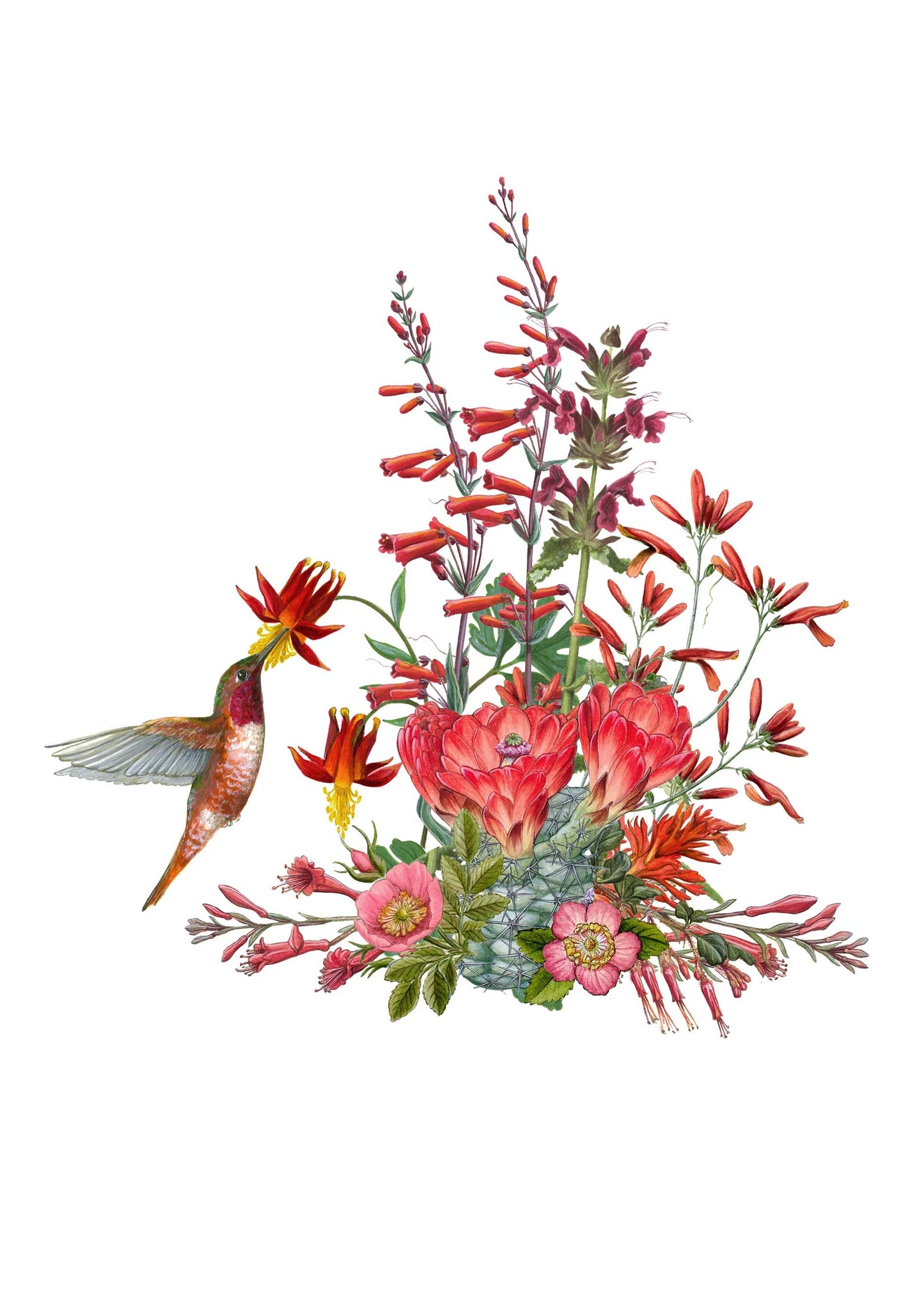 Erin Hunter Pollinator Notecards