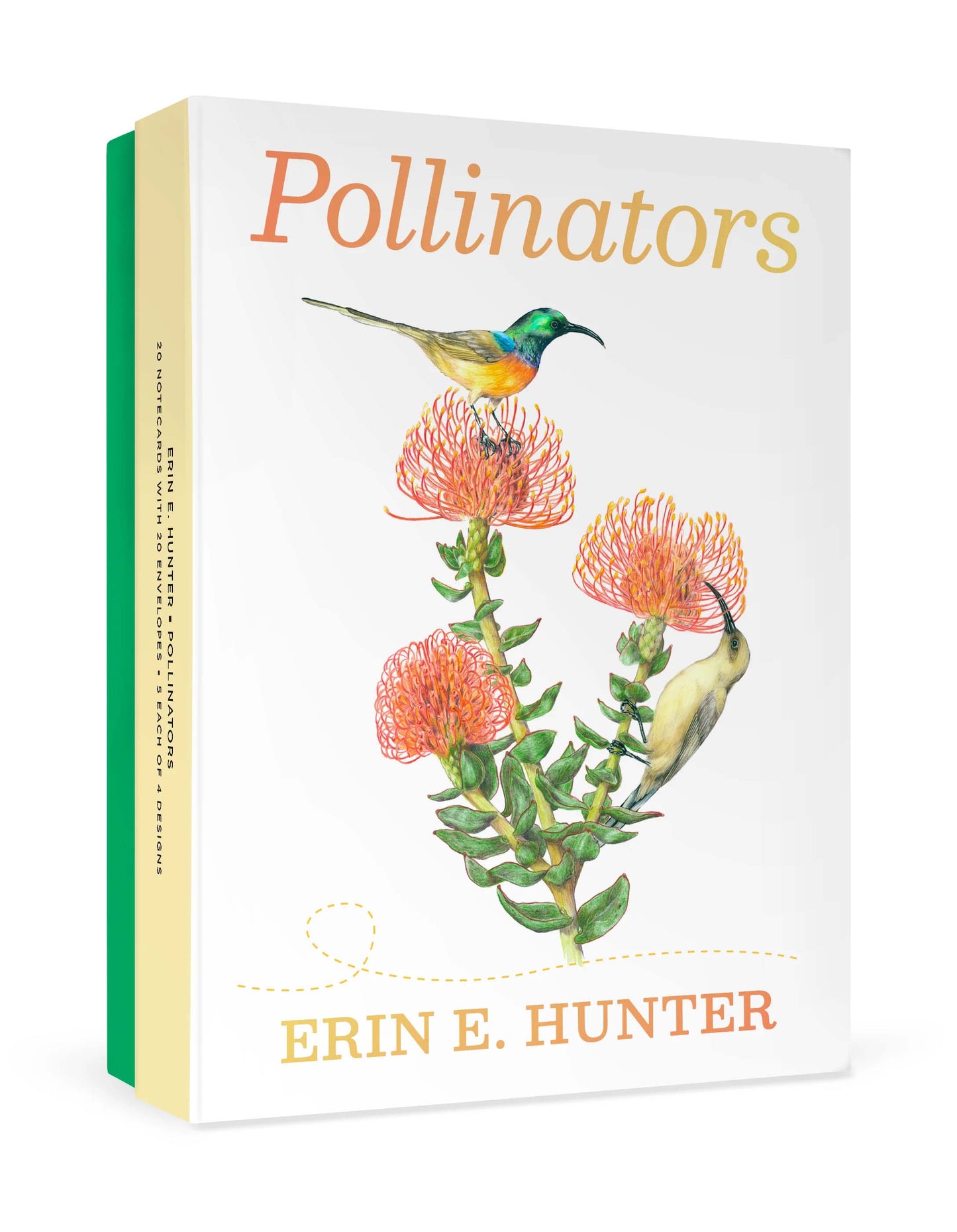 Erin Hunter Pollinator Notecards