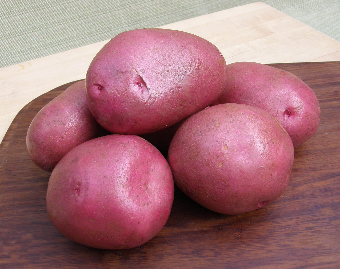 klondike rose seed potatoes Seed Potatoes
