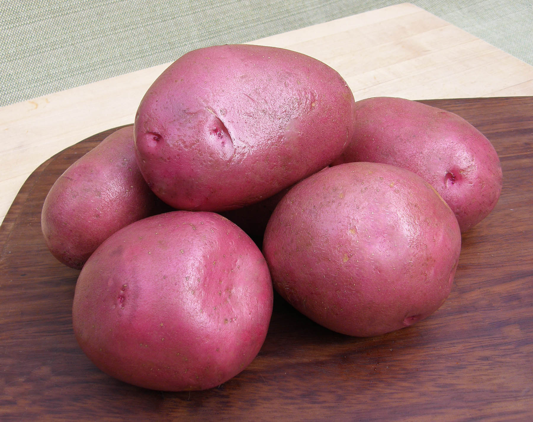 red rose potato seeds Seed Potatoes