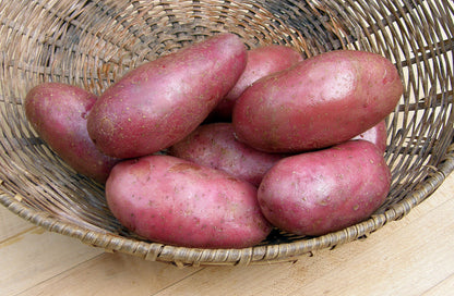 French Fingerling