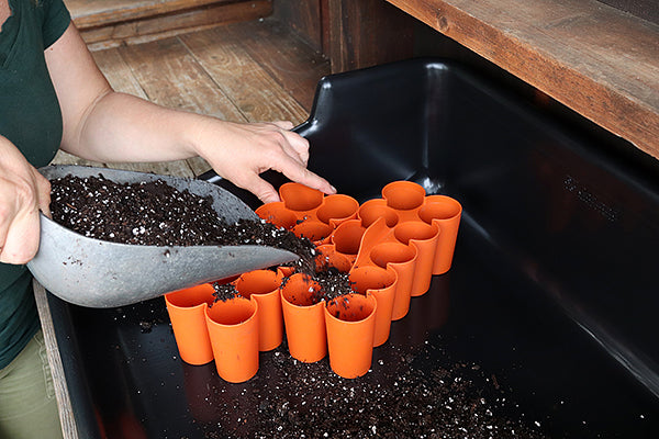 Potting Tray