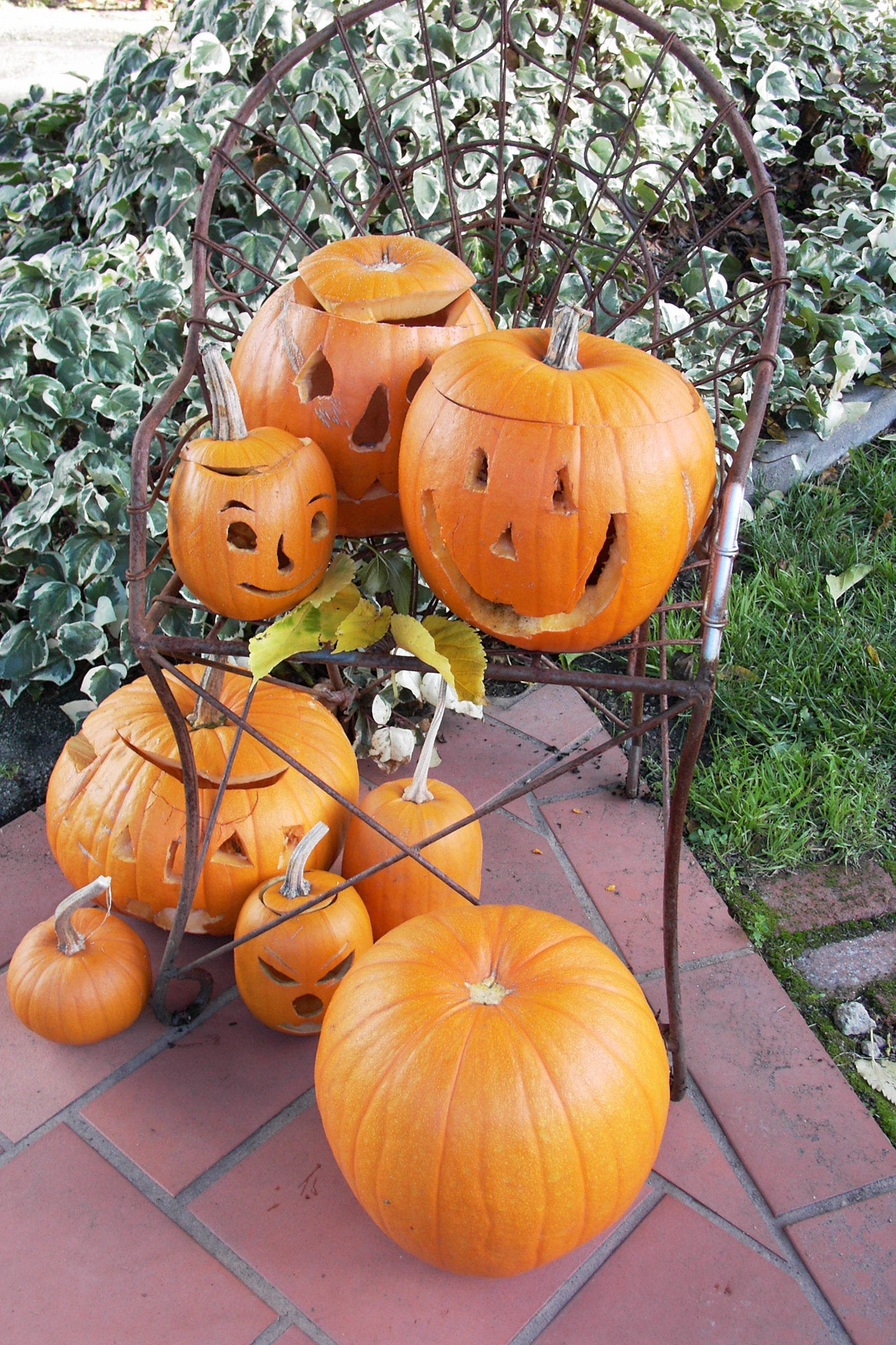 Autumn Gold & Spookie