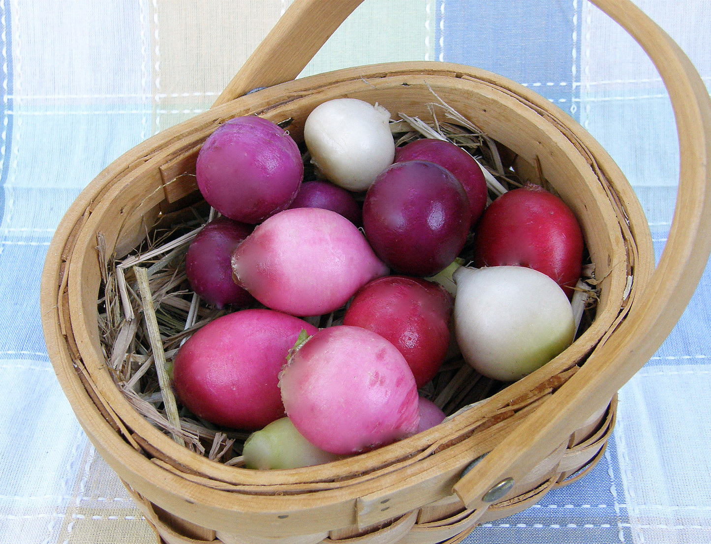 Rainbow Radishes - Easter Egg II
