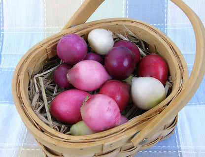 Rainbow Radishes - Easter Egg II