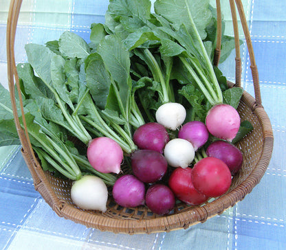 Rainbow Radishes - Easter Egg II