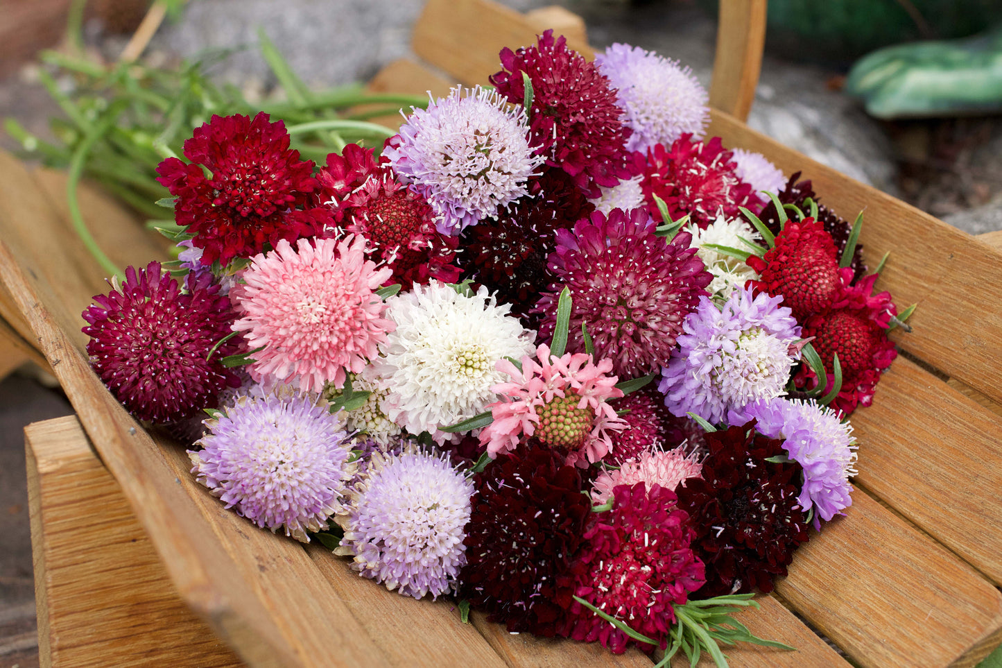 Grandmother's Pincushion