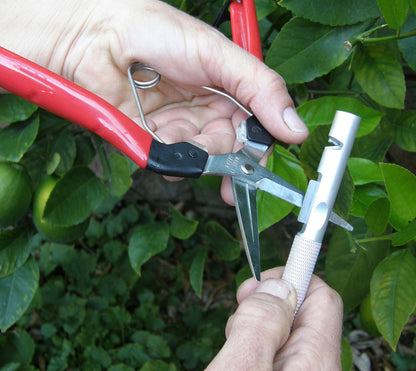 Felco Sharpener