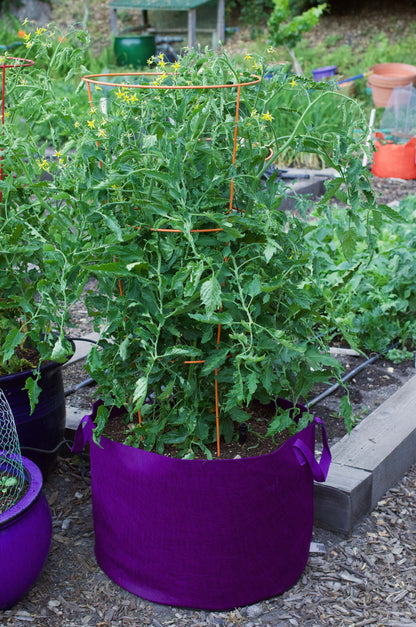 discount pots for plants Smart Pots 7 Gallon Purple
