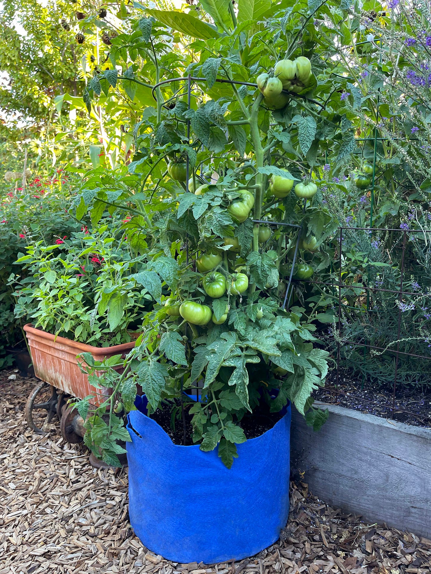 Smart Pots