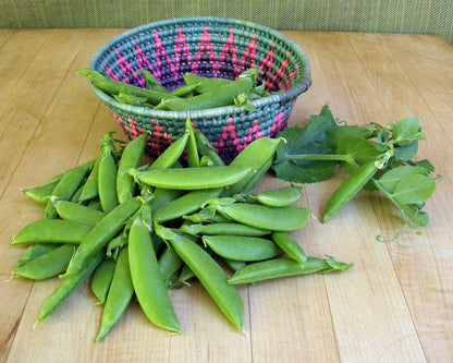 Container Snap Peas - Sugar Ann