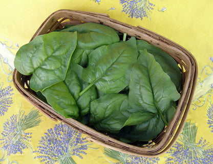Long-Standing Spinach - Summer Perfection
