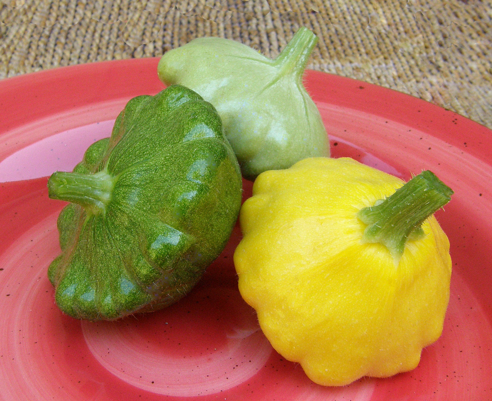 Summer Scallop Trio' Tricolor Pattypan Squash – Renee's Garden