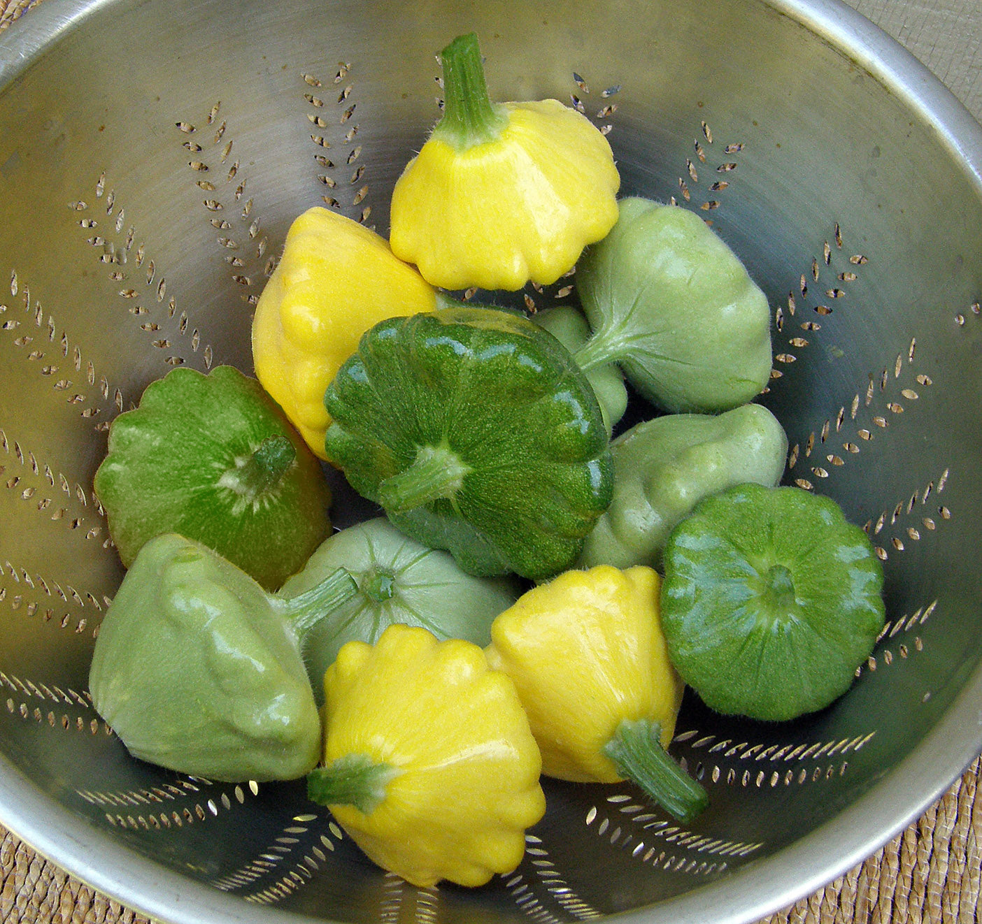 Summer Scallop Trio' Tricolor Pattypan Squash – Renee's Garden