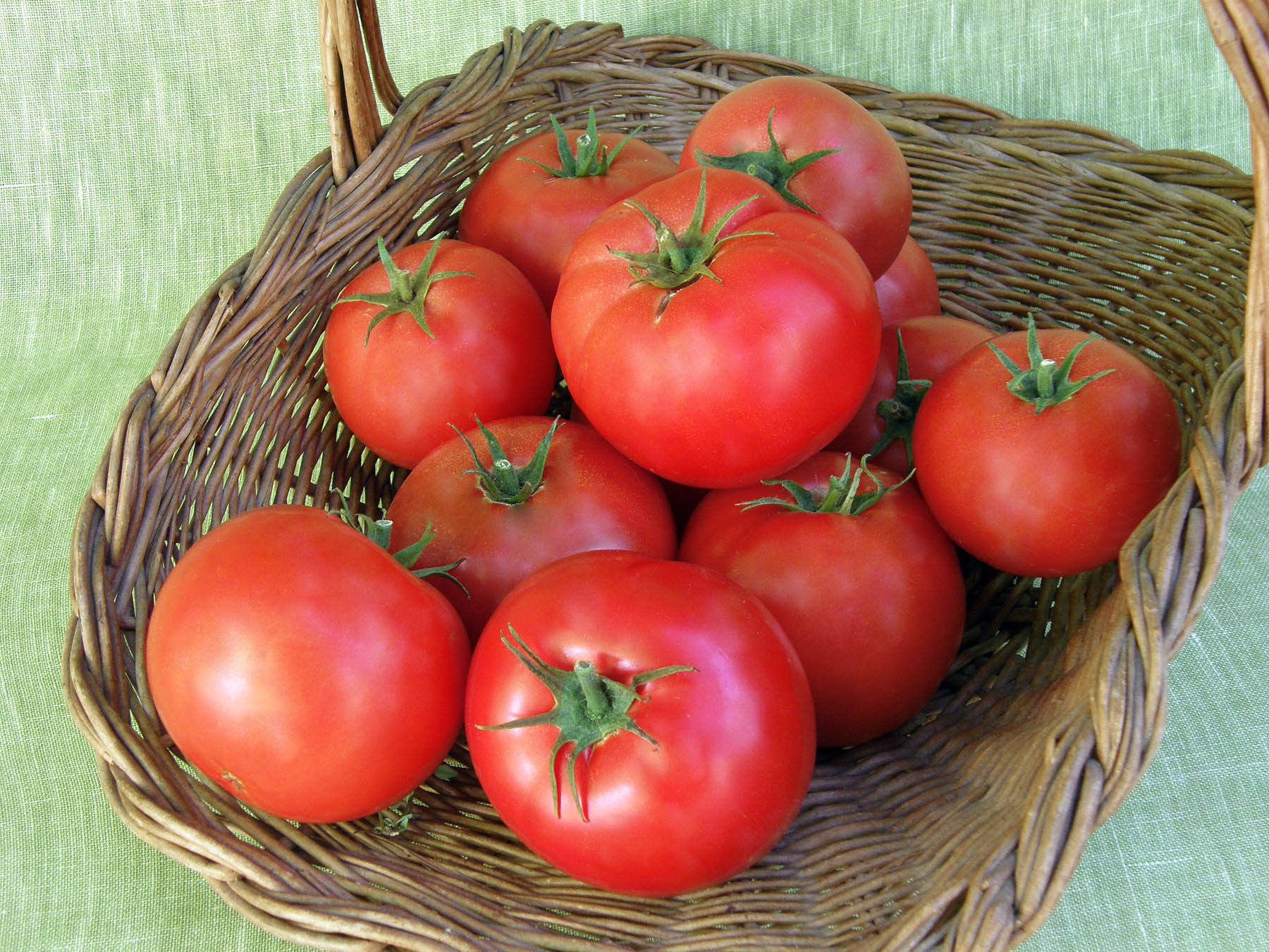 Big Beef' Beefsteak Tomato – Renee's Garden Big Beef' Beefsteak Tomato – Renee's Garden