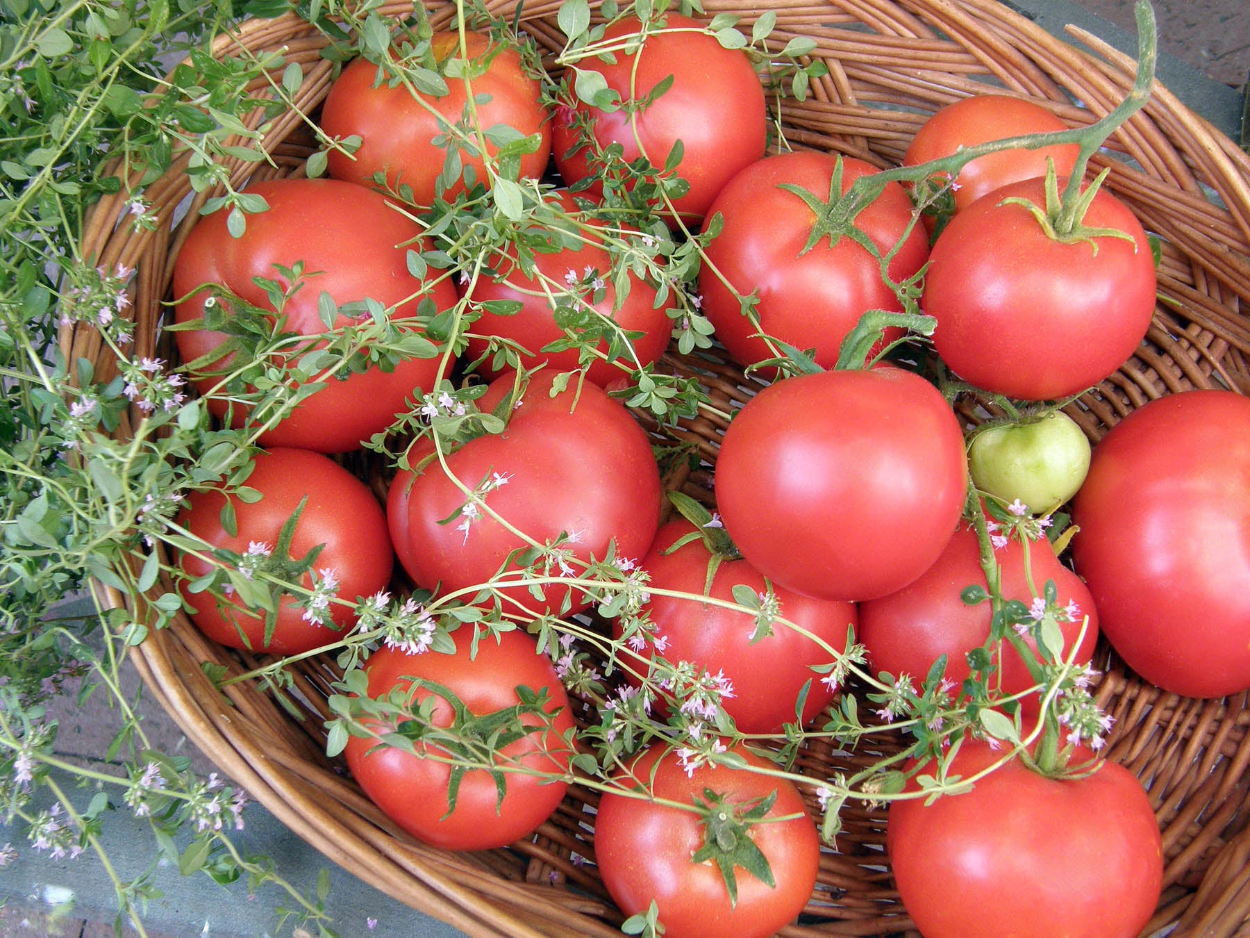 Crimson Carmello' Top Flavor Tomato – Renee's Garden