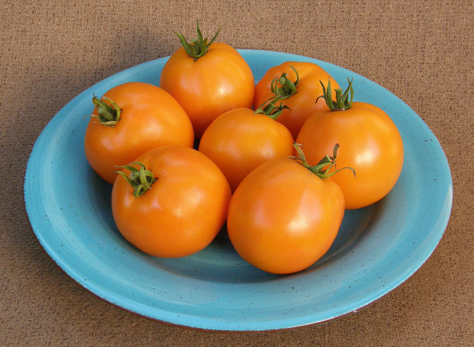 Mandarin Cross' Japanese Slicing Tomato – Renee's Garden