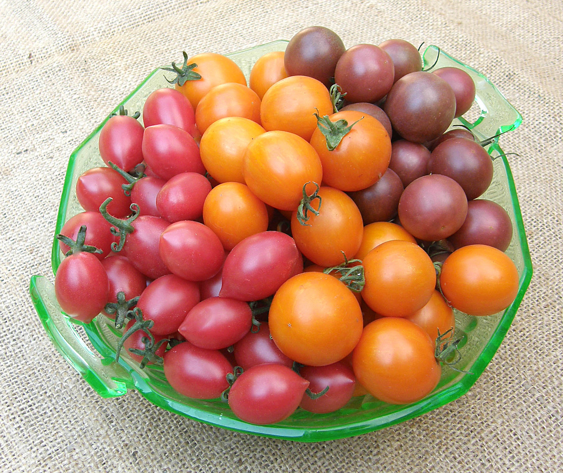 Triple Treats' Cherry Tomato Trio – Renee's Garden