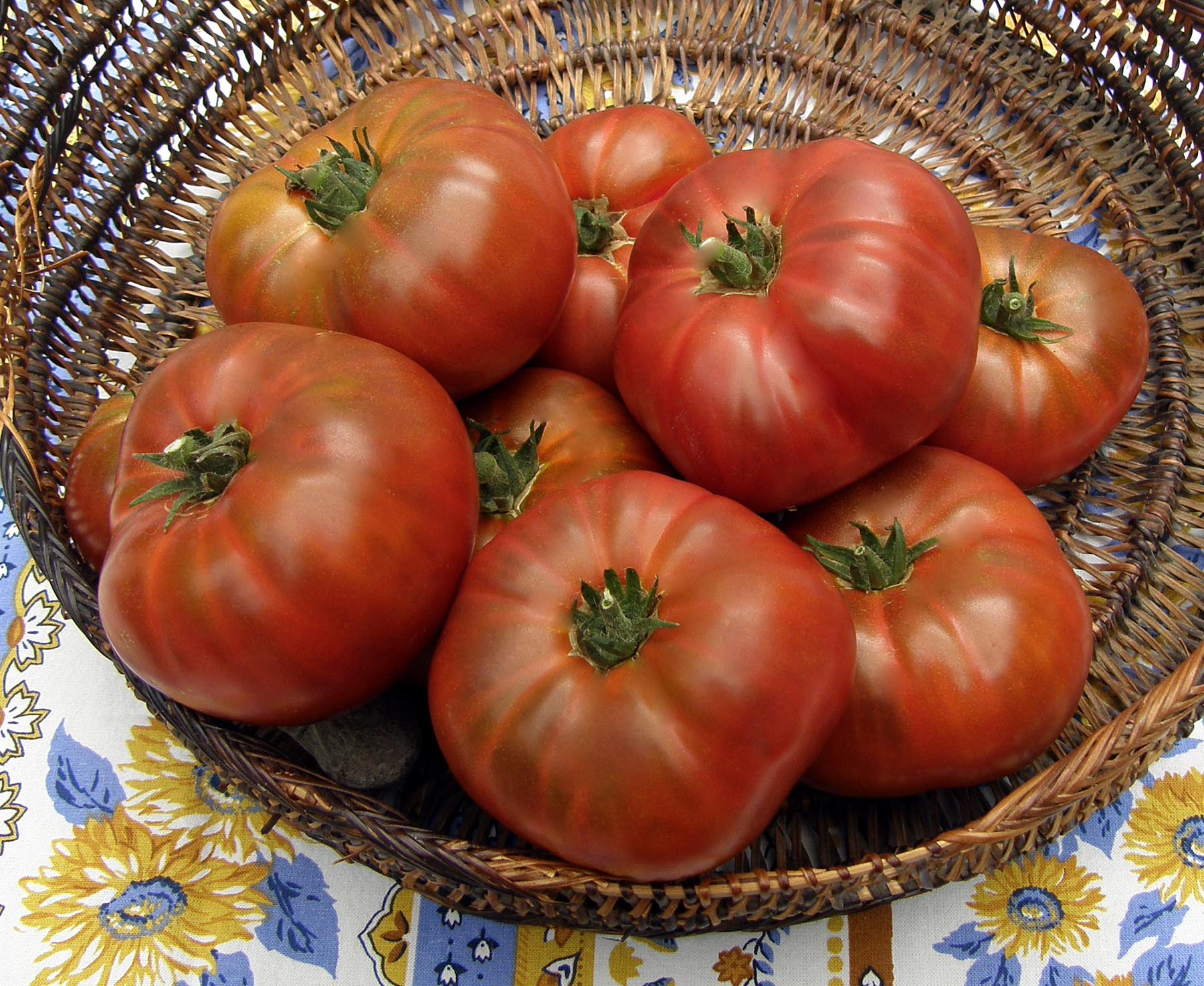Tasmanian Chocolate' Heirloom Container Tomatoes – Renee's Garden