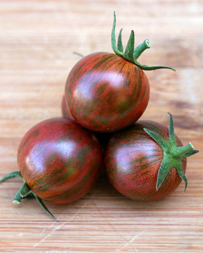 Cherry Tomato - Purple Bumble Bee Organic