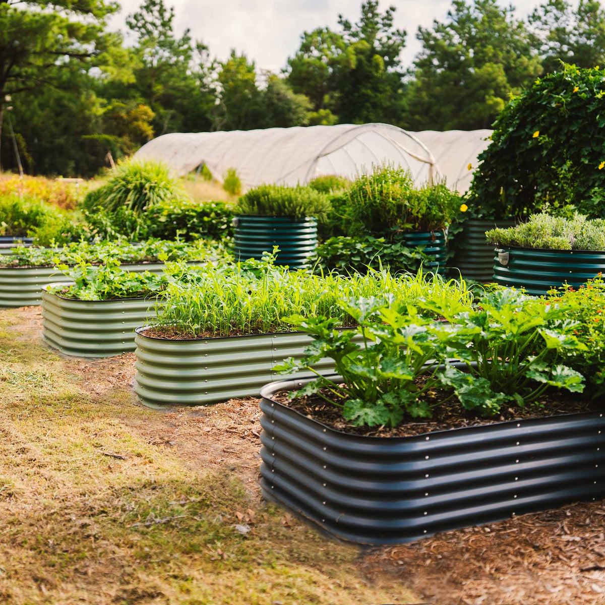 Raised Rano Raised Garden Beds 17
