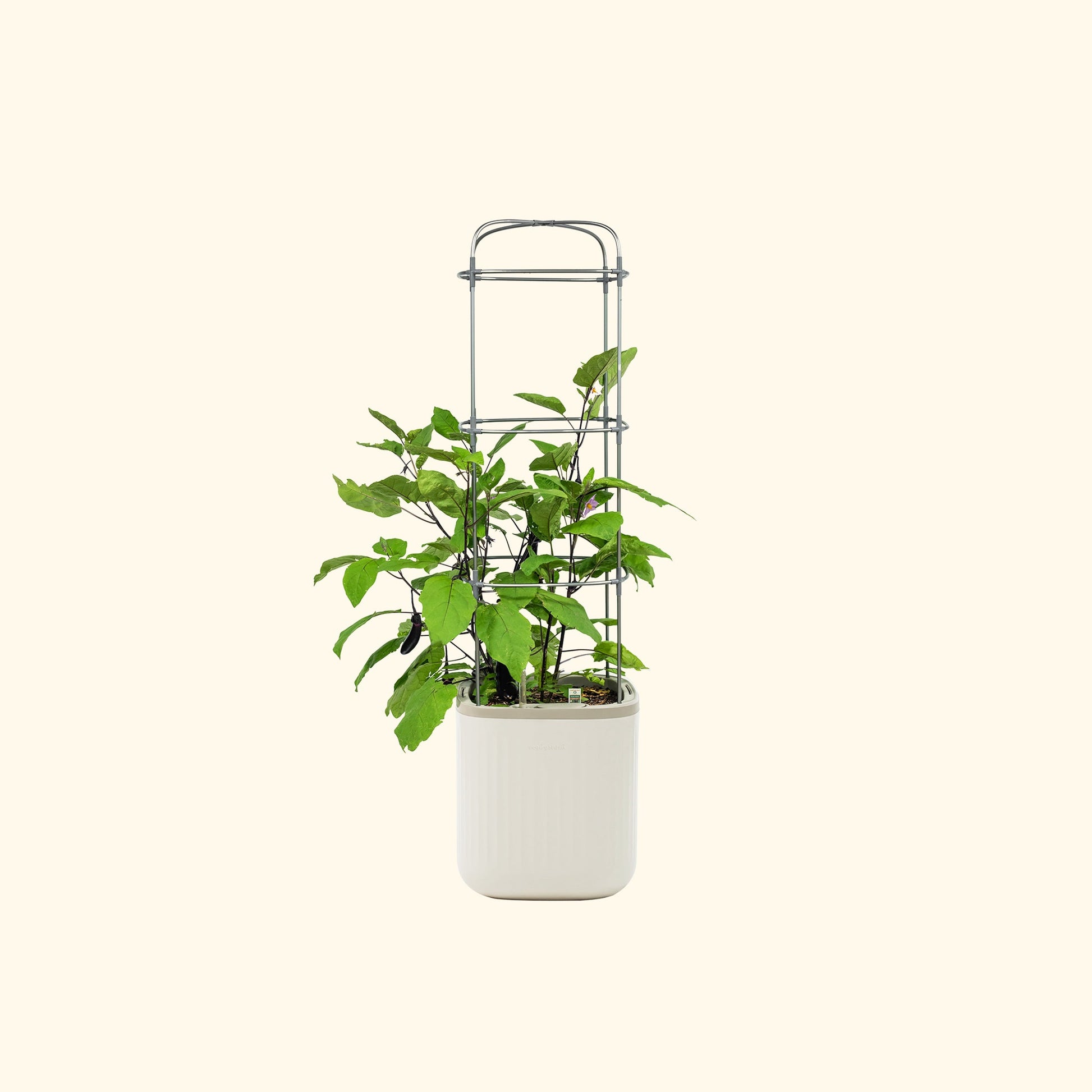 self-watering rolling tomato planter pot with trellis Self-Watering Planter with Trellis