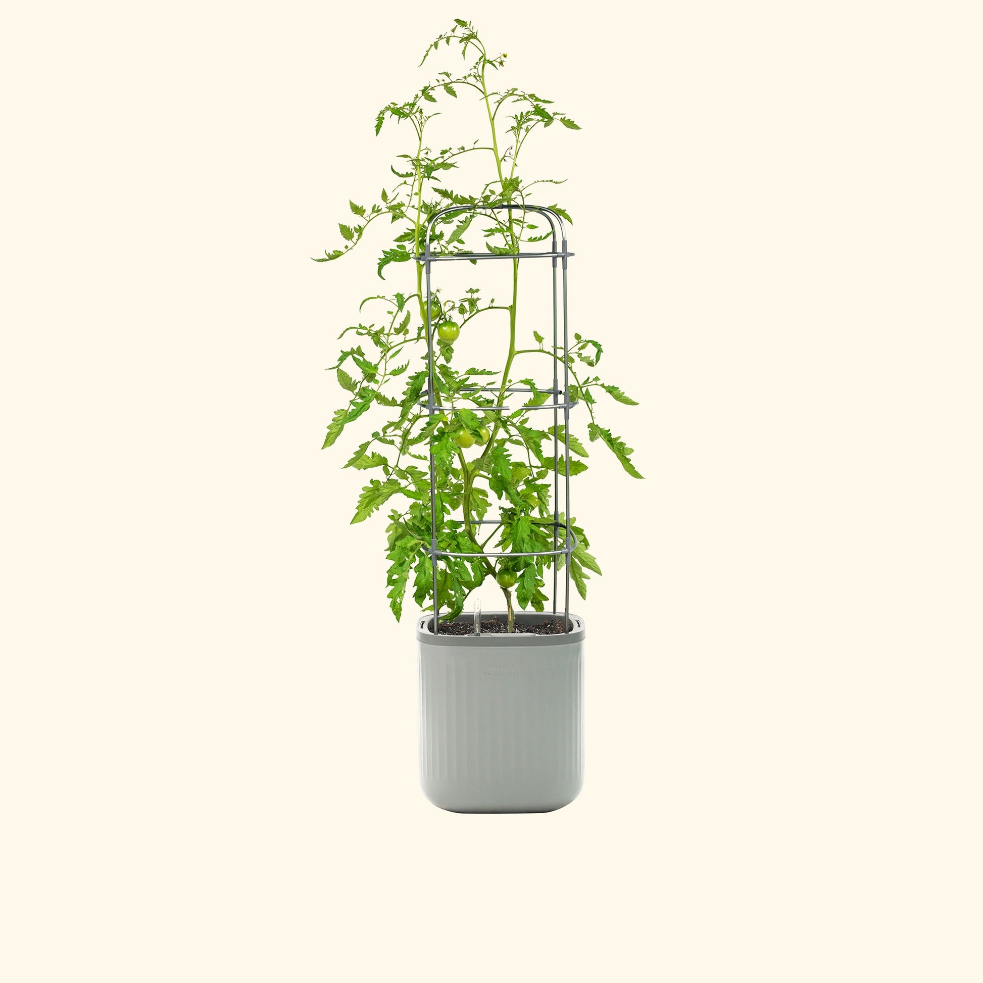 self watering plants near me Self-Watering Planter with Trellis – Renee's Garden